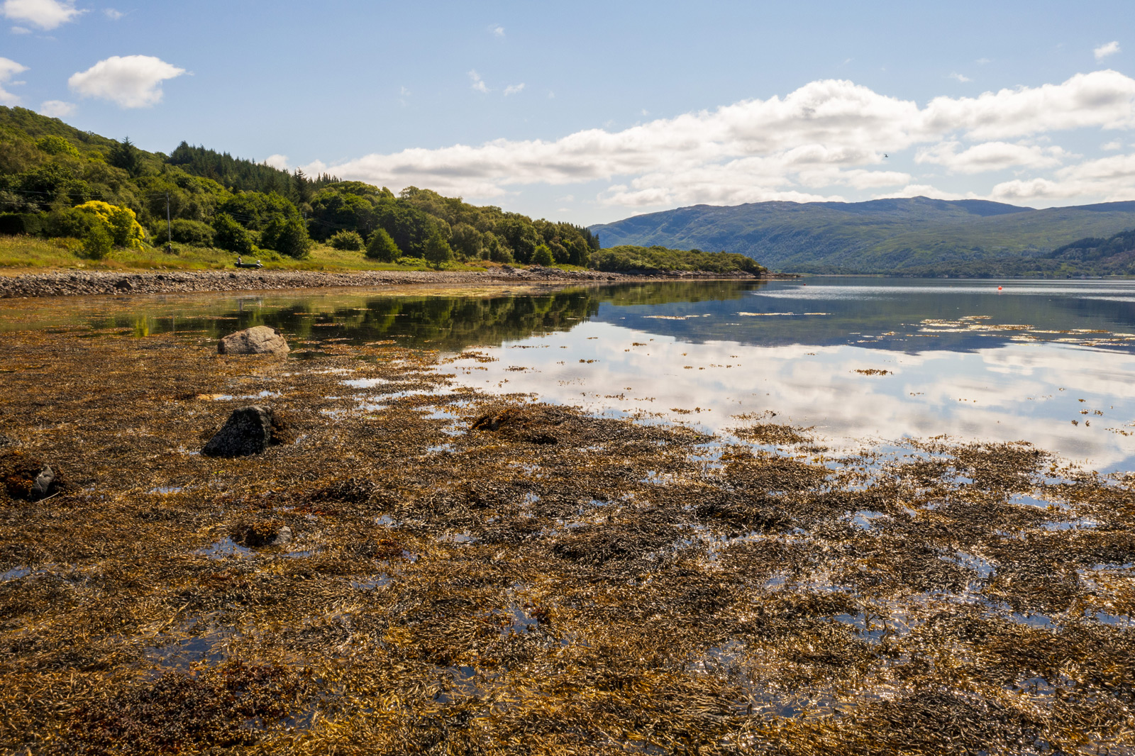 Exploring Loch Sunart from Resipole Farm Holiday Park